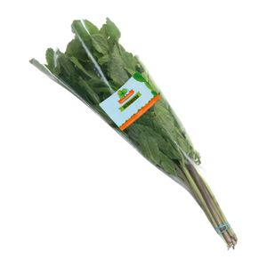 Hierbabuena FRESH AROMATIC x105 g