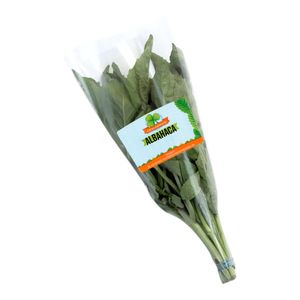 Albahaca FRESH AROMATIC x60 g