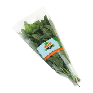 Toronjil FRESH AROMATIC x60 g