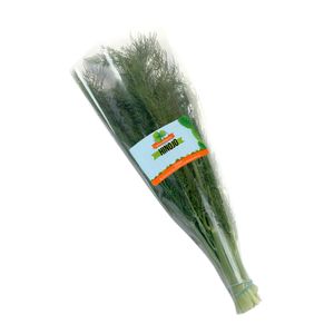 Hinojo FRESH AROMATIC x80 g