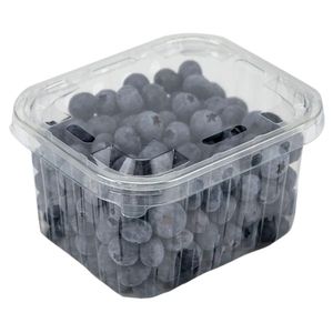 Arándanos x500 g