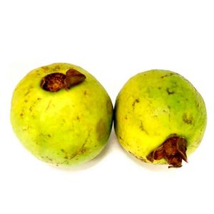 Guayaba agria x500 g