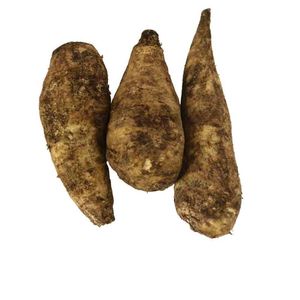 Arracacha x500 g