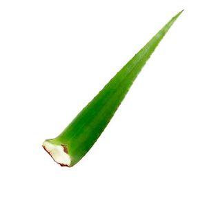 SABILA x500 g